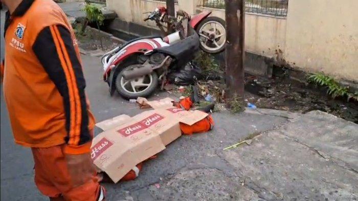 Petugas PPSU di Koja Jakut Tewas Usai Tabrak Tiang Listrik