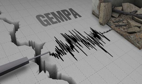 Gempa Magnitudo 4,9 Guncang Seluma, Bengkulu: Getaran Terasa di Beberapa Daerah