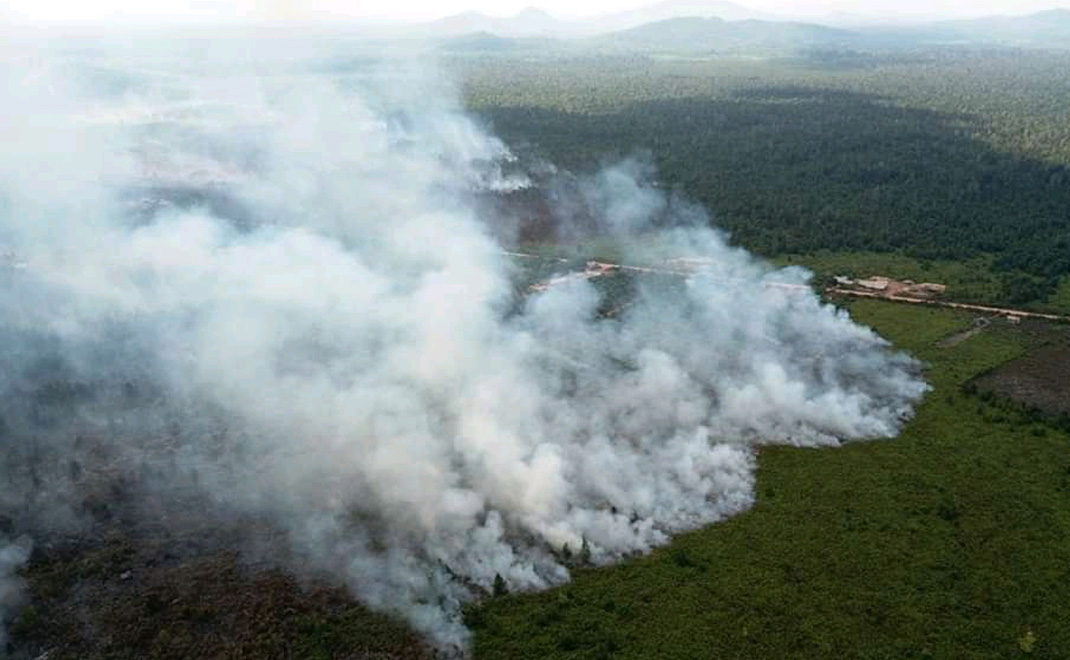 Masuki Musim Kemarau 2025, Ini Titik Rawan Kebakaran Hutan di Indonesia