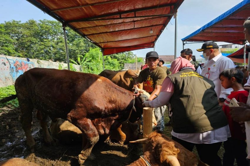 Naik 10 Persen, Permintaan Hewan Kurban di Kota Tangerang Diperkirakan Capai 17 Ribu Ekor