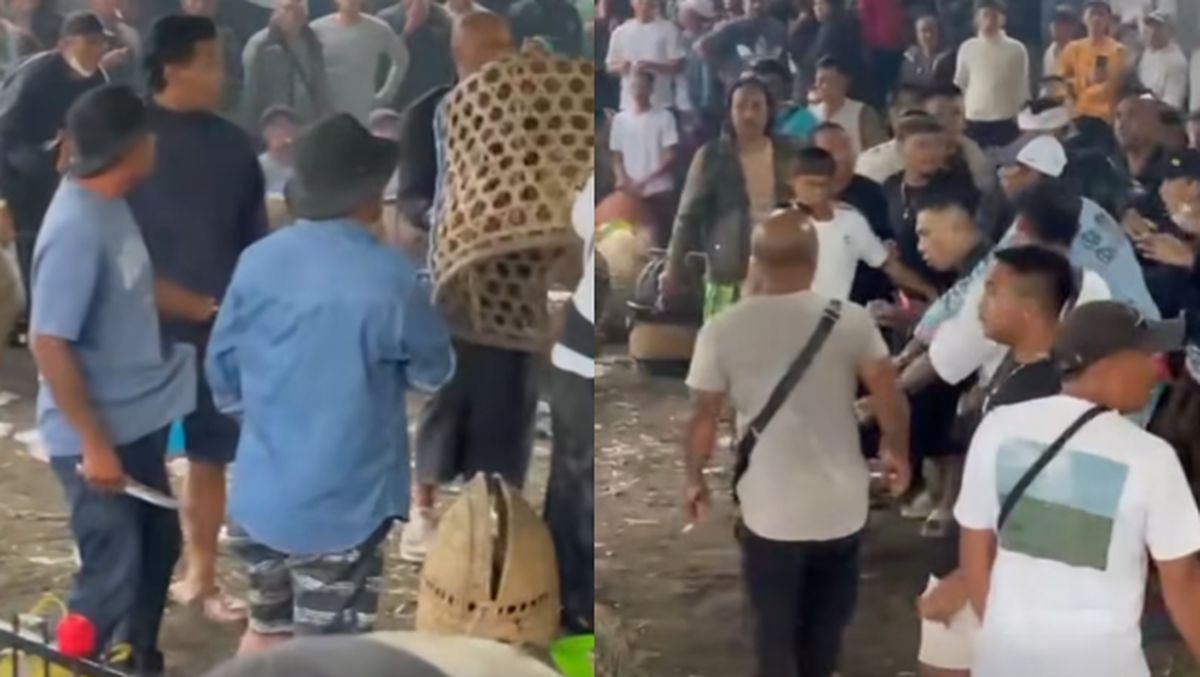 Mencengkam! Salah Paham Berujung Maut di Arena Sabung Ayam Bangli, Bali