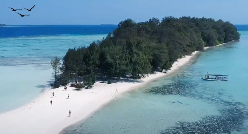 Menikmati Keindahan Pesona Pulau Cemara di Karimun Jawa